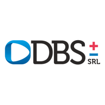 D.B.S. S.R.L.